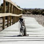 giorgio parravicini d9uitqkc96w unsplash