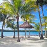 giulia lorenzon 9hrqcizyguq unsplash