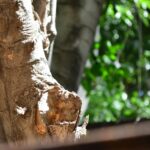 gosman saldivia abkp9 5kwdy unsplash