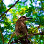 gosman saldivia wriwhj hzag unsplash