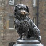 greyfriars 7149194 1280