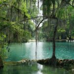 guido hn xs 6qvdxjh0 unsplash