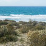 gustavo moreno iqxzwcblro8 unsplash