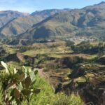 hongbin oy3yekqhwsq unsplash