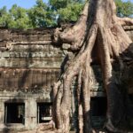 hongbin pgfdqhf5gkm unsplash