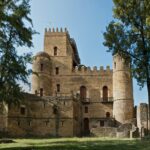 hunde gemechu vspuhmegxci unsplash