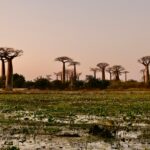 husha bilimale 6maet0xjoyu unsplash