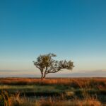 iako randrianarivelo bh7zpvlc0dc unsplash