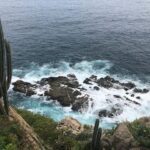 ibiza aguilar go1gdwosf2o unsplash