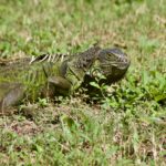 j alejandro lazo cust mroz9cws4ew unsplash