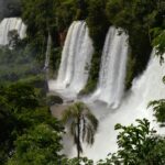 jade marchand 2ux7cfo1lcu unsplash