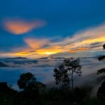 jaime-serrano-wM1EMSkgu7U-unsplash