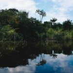 james cheung bwyh1fc7jri unsplash