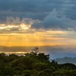 james ting 0l1na9dmdrw unsplash