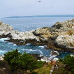 jeffrey eisen rx0lcc4rigw unsplash