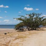 jheycoll colamen u1xy7x3stwc unsplash