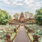 johnny africa hic6wi ffjg unsplash