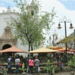 jonathan monck mason jb6cduuar4g unsplash