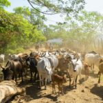 joseph pina nis6ds8ityu unsplash