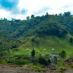 juan camilo guarin p nyeewcecgo0 unsplash