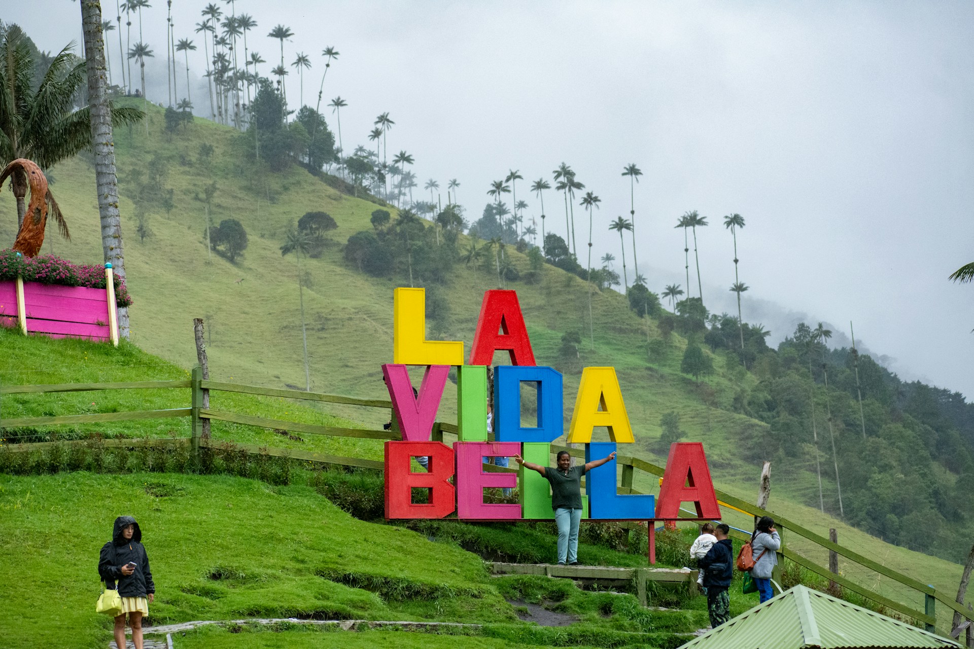 juan manuel nunez mendez 21eth9xrjck unsplash