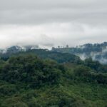 juan manuel nunez mendez l9r 5 7lo0 unsplash