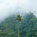 juan manuel nunez mendez ermtwskq0 g unsplash