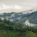 juan manuel nunez mendez gagbxvp6pom unsplash