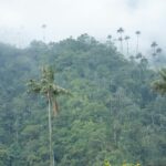 juan manuel nunez mendez hf0jhgfryw0 unsplash