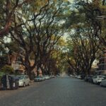 juan pablo mascanfroni duqyw0jkoli unsplash