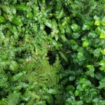 julia vogtmann 7hj8qjmpopq unsplash