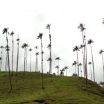 julian florez davueejqbnu unsplash