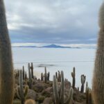 julius-zetzsche-vEHWKtIbiY0-unsplash