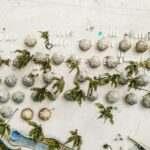 justin aikin pj oezbtrx8 unsplash