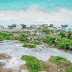 karl moore osulqwe8yqi unsplash