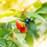 kenneth schipper ohrulyulrhg unsplash