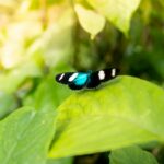 kenneth schipper it0gsrdnhaq unsplash