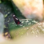 kenneth schipper xhu1dtc159i unsplash