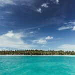 kirk thornton zfiikiizmgi unsplash