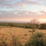 kruger national park 7210475 1280