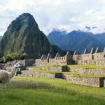 laurie byrne xxutblcgun0 unsplash