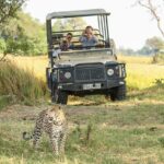 leopard 2923942 1280