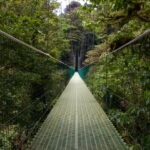 leslie cross qrnjbapczbm unsplash