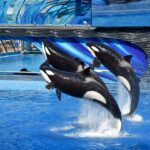 leslie driskill w4vfbauowhe unsplash