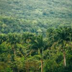 levi arnold 5gxbeo4fcfm unsplash