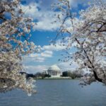 library of congress ynanhwczg9c unsplash