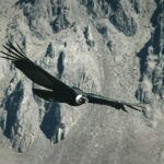 loic mermilliod zefn7dvcr2m unsplash