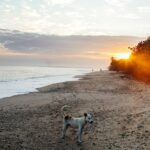 lucas verbeke y0tvinws6fa unsplash