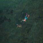 luis-diego-aguilar-IGeSoEW2KYk-unsplash