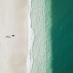 luis-diego-aguilar-ib7_j_Pkq4c-unsplash